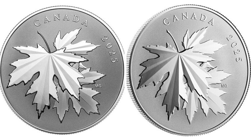 maple leaves silver coin from the royal canadian mint