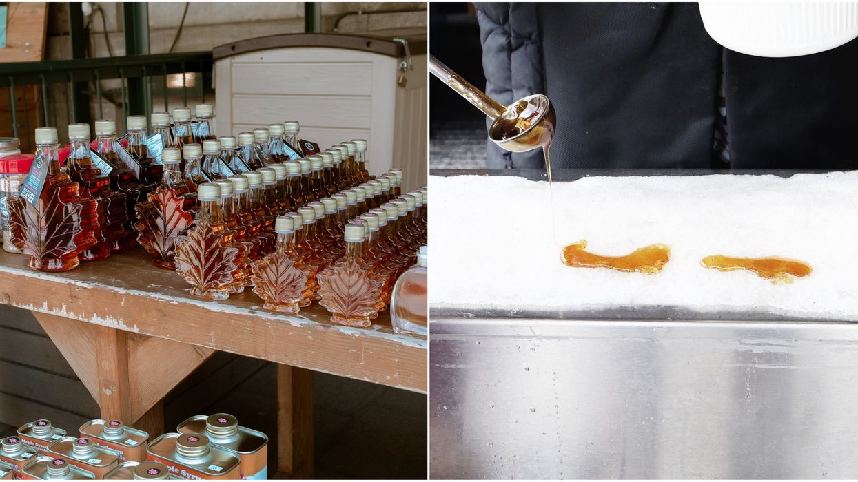 Maple Syrup: Canada's Official Twitter Is Hyped For The Celebration Day & It's So Canadian
