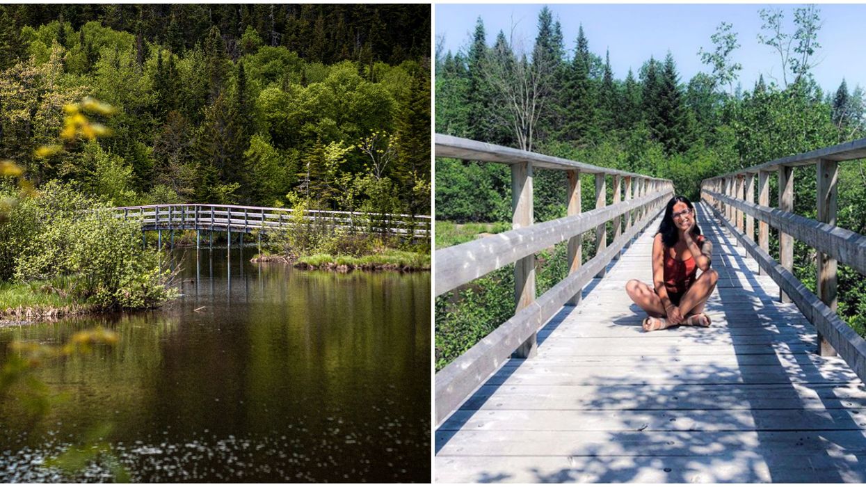 Marais du Nord : Ces magnifiques passerelles en forêt près de Québec valent le détour