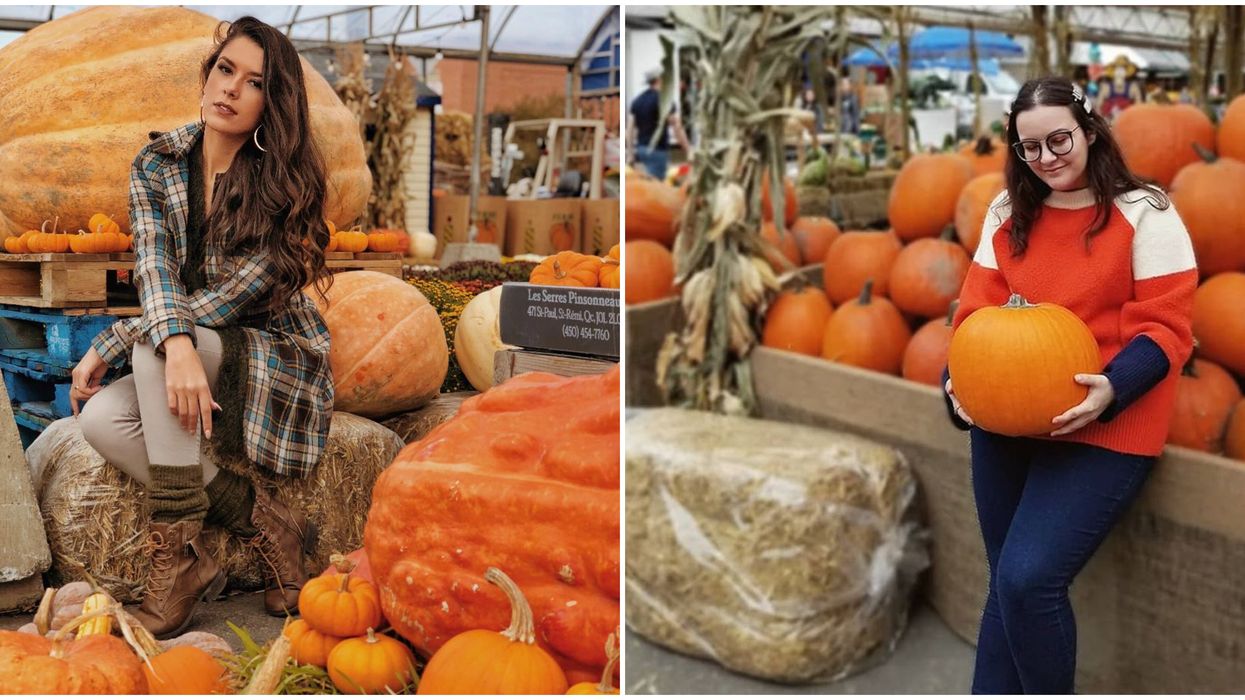 Marchés à Montréal où acheter des citrouilles