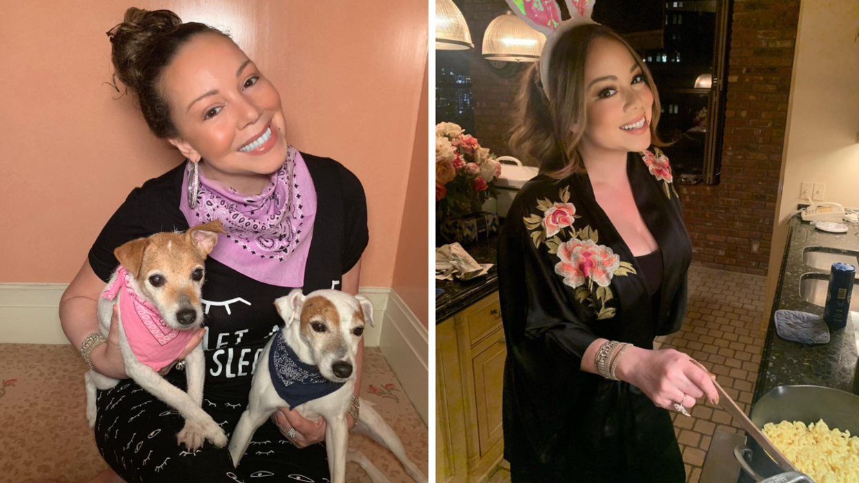 Mariah Carey and her two dogs during quarantine. Right: Mariah Carey cooking.