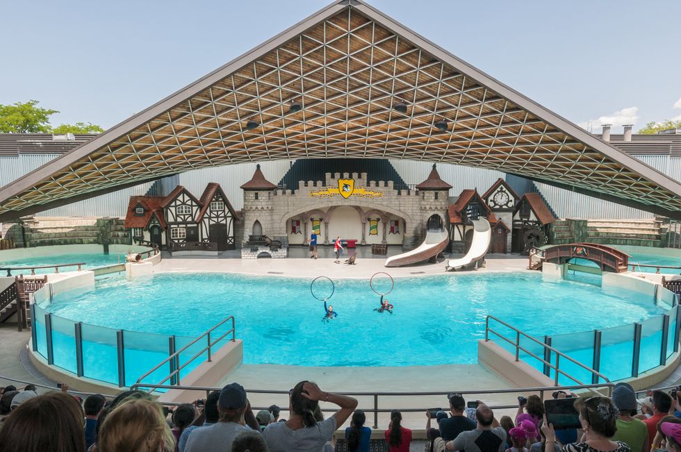 Marineland in Niagara Falls, Ontario.