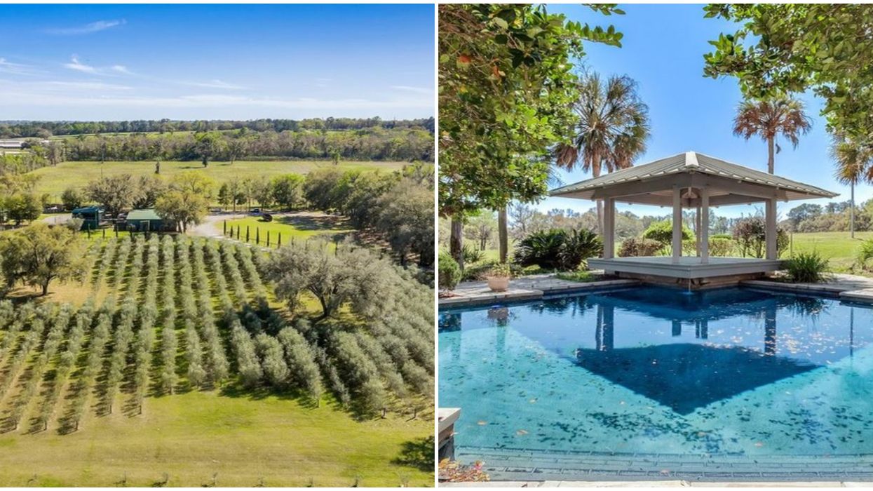 Massive Mansion Home For Sale In Orlando With An Olive Orchard Is A Mediterranean Dream