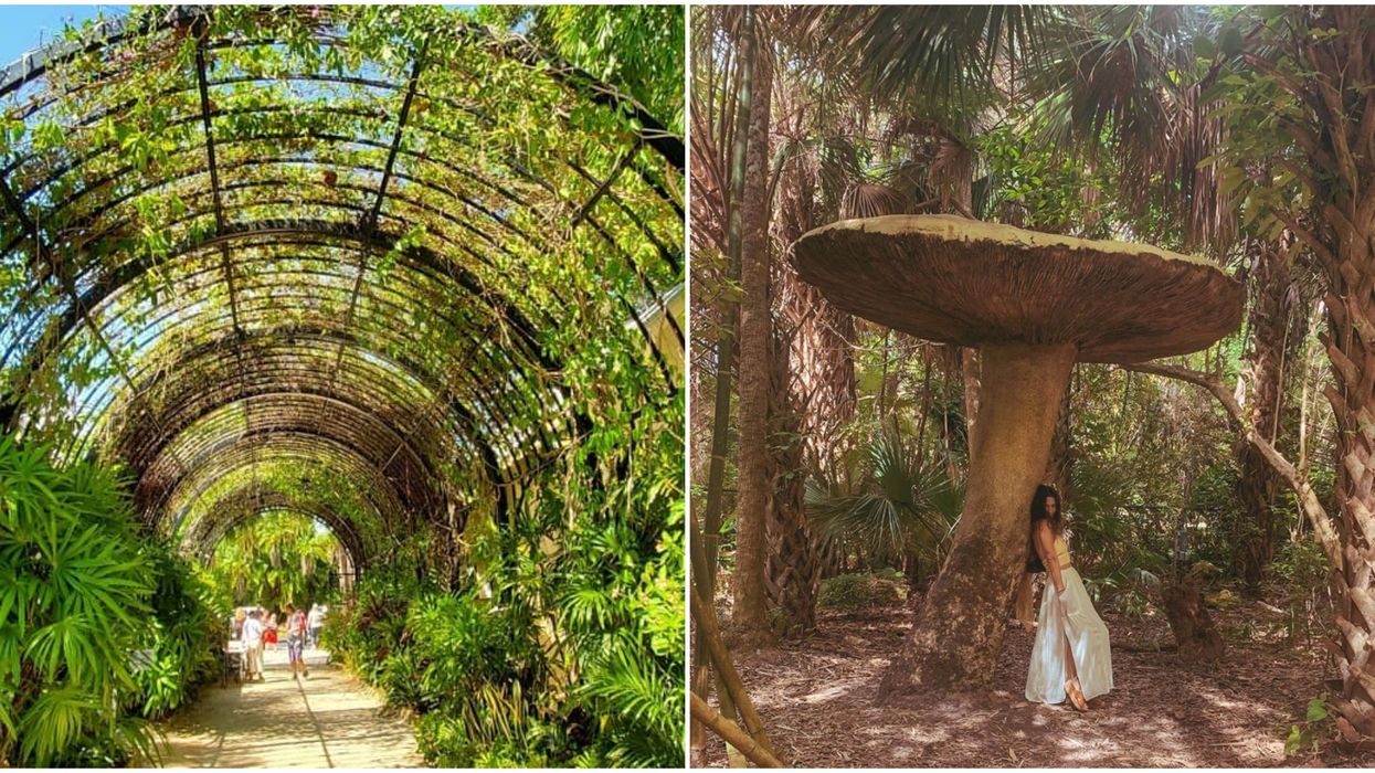 McKee Botanical Garden Florida Has Major 'Alice In Wonderland' Vibes