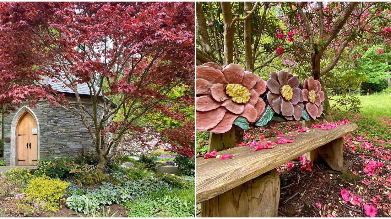 Meerkerk Gardens In Washington Looks Like A Fairytale (PHOTOS)