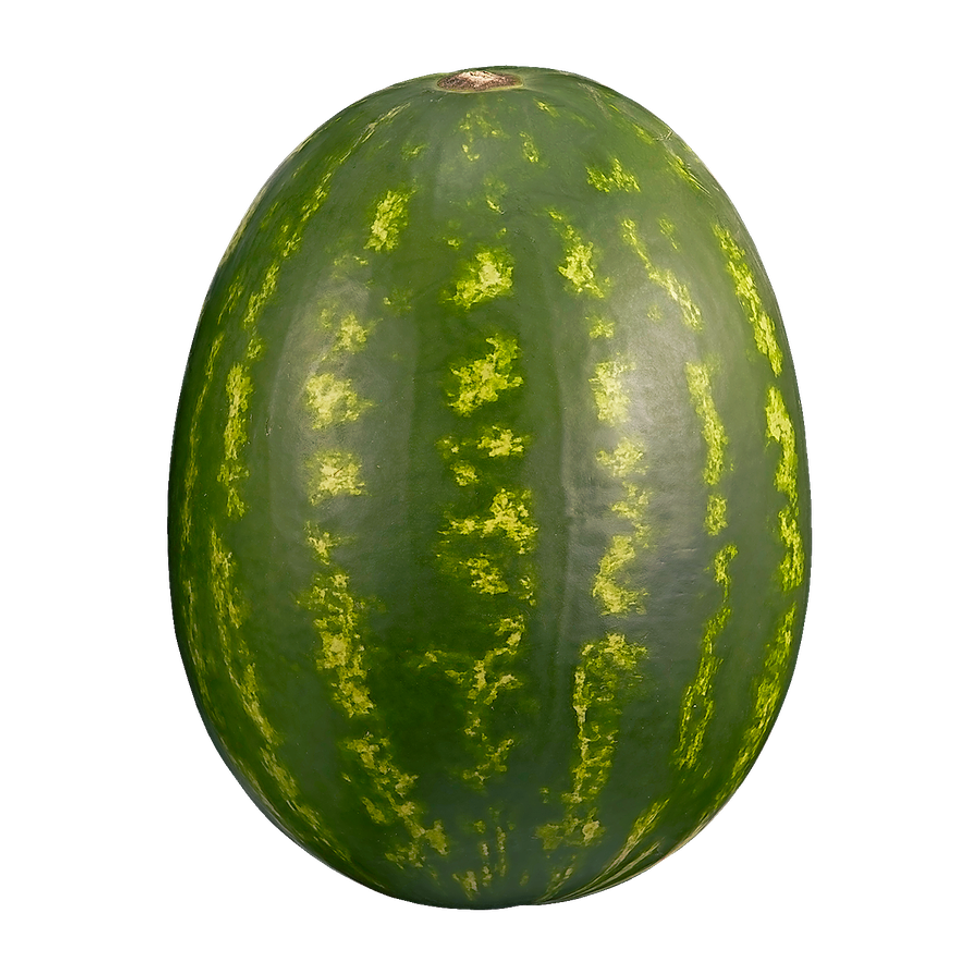 Melon d\u2019eau rouge sans p\u00e9pins.