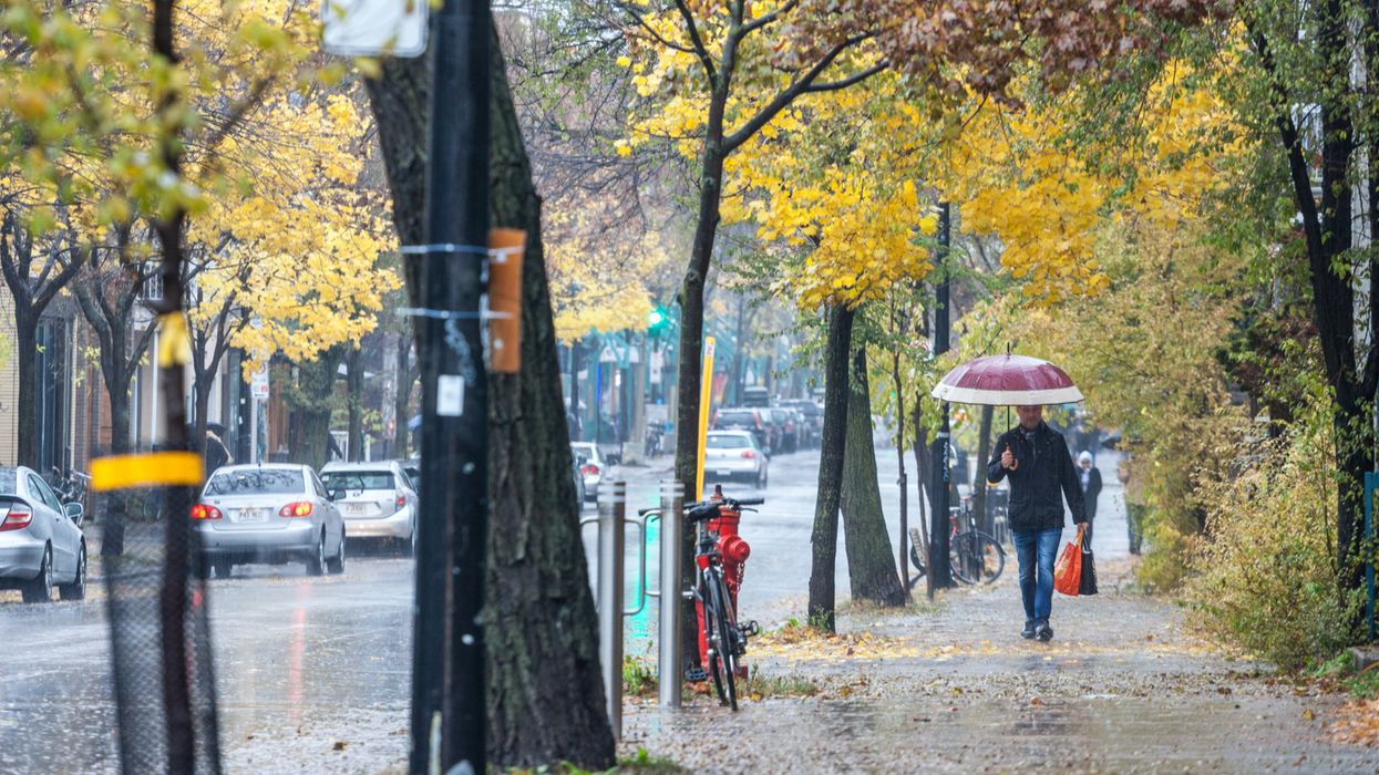 Météo au Québec : une tempête automnale avec pluie et vent s'amène cette semaine