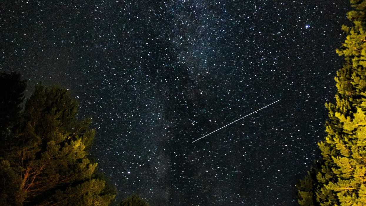 meteor streaking across starry sky above trees