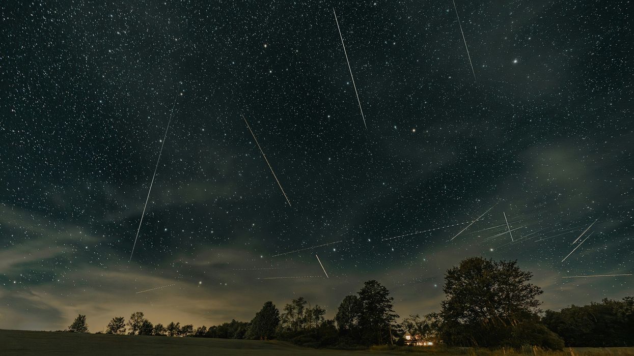 meteors in the night sky above trees