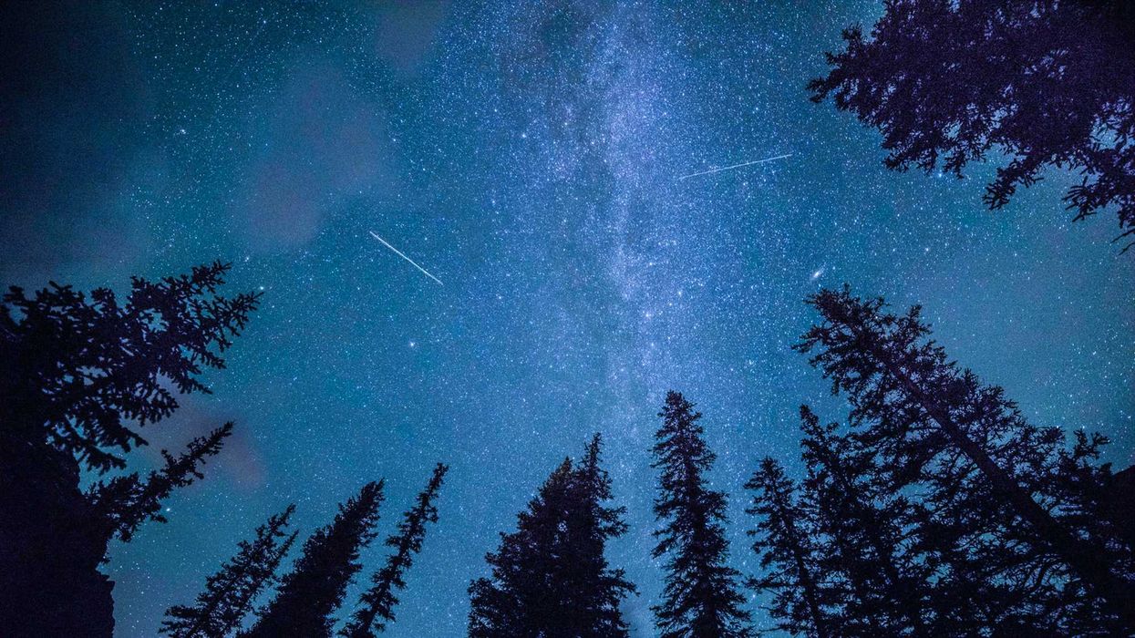 meteors streaking across a starry sky above trees in alberta