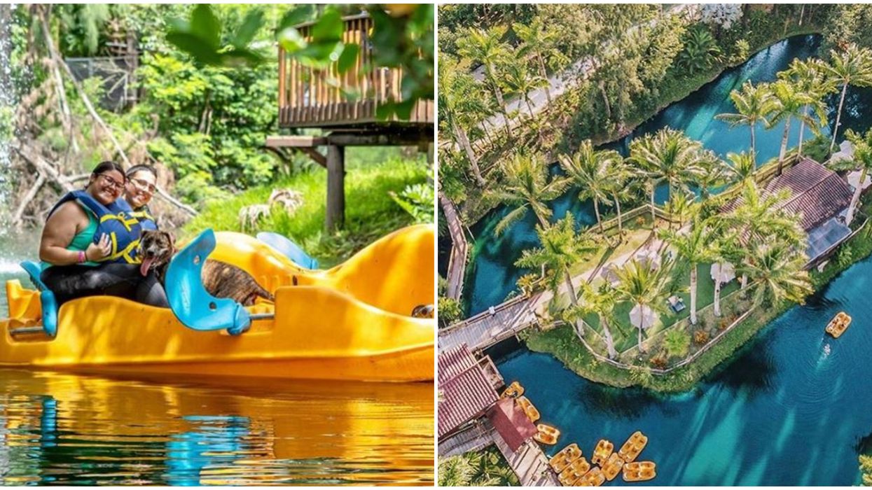 Miami Wildlife Sanctuary Pinto's Farm Let's You Paddle Around A Hidden Island Oasis