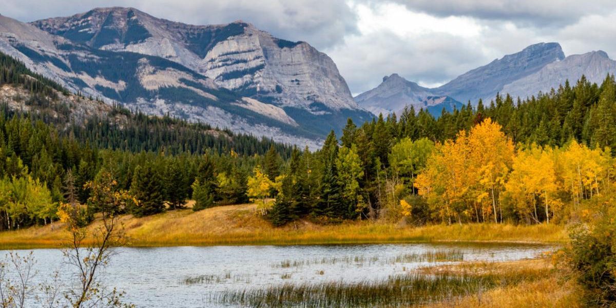 Middle Spring Alberta Alberta's Fall Forecast Calls For A Taste Of Early Winter & 'Wild ...