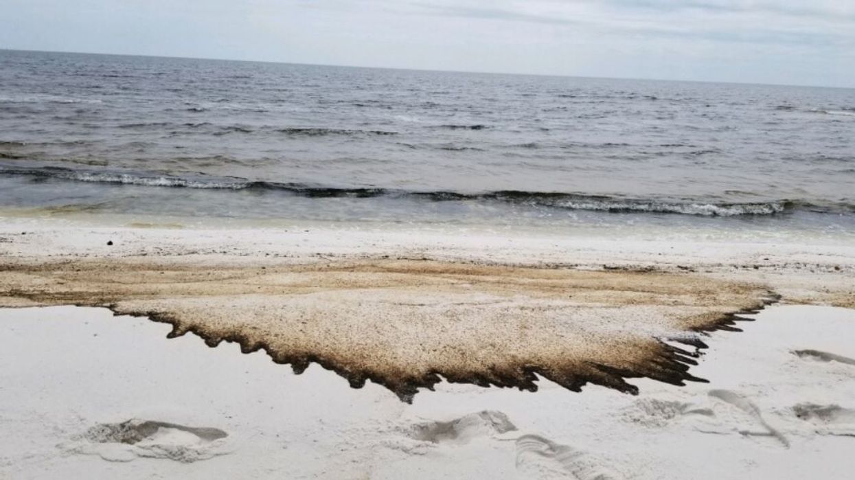 Miles Of Oil Washed Up On This Florida Beach After Hurricane Sally