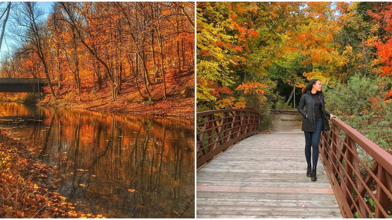Mill Pond Near Toronto Has The Most Gorgeous Fall Trails