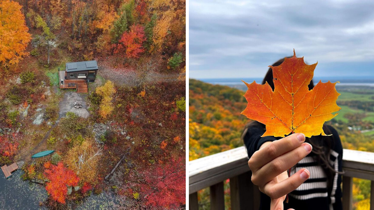 Mini cabin surrounded by autumn trees. Right: Holding a maple leaf by a valley lookout.