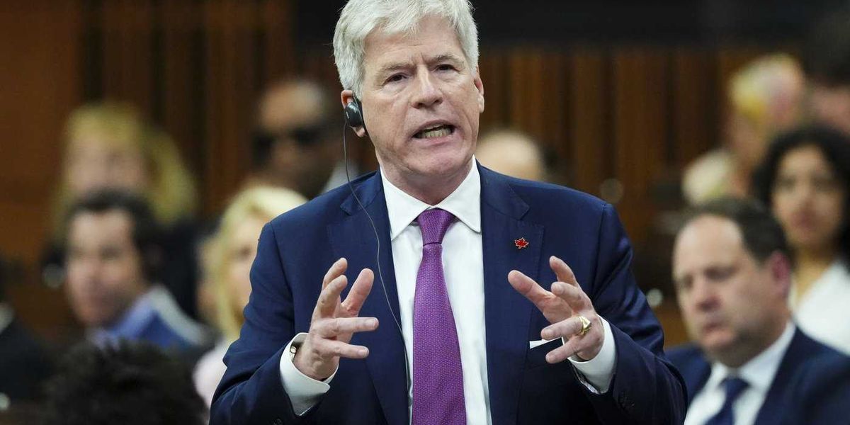 Minister says Canadian forestry crisis goes beyond Trump tariffs Minister says Canadian forestry crisis goes beyond Trump tariffs