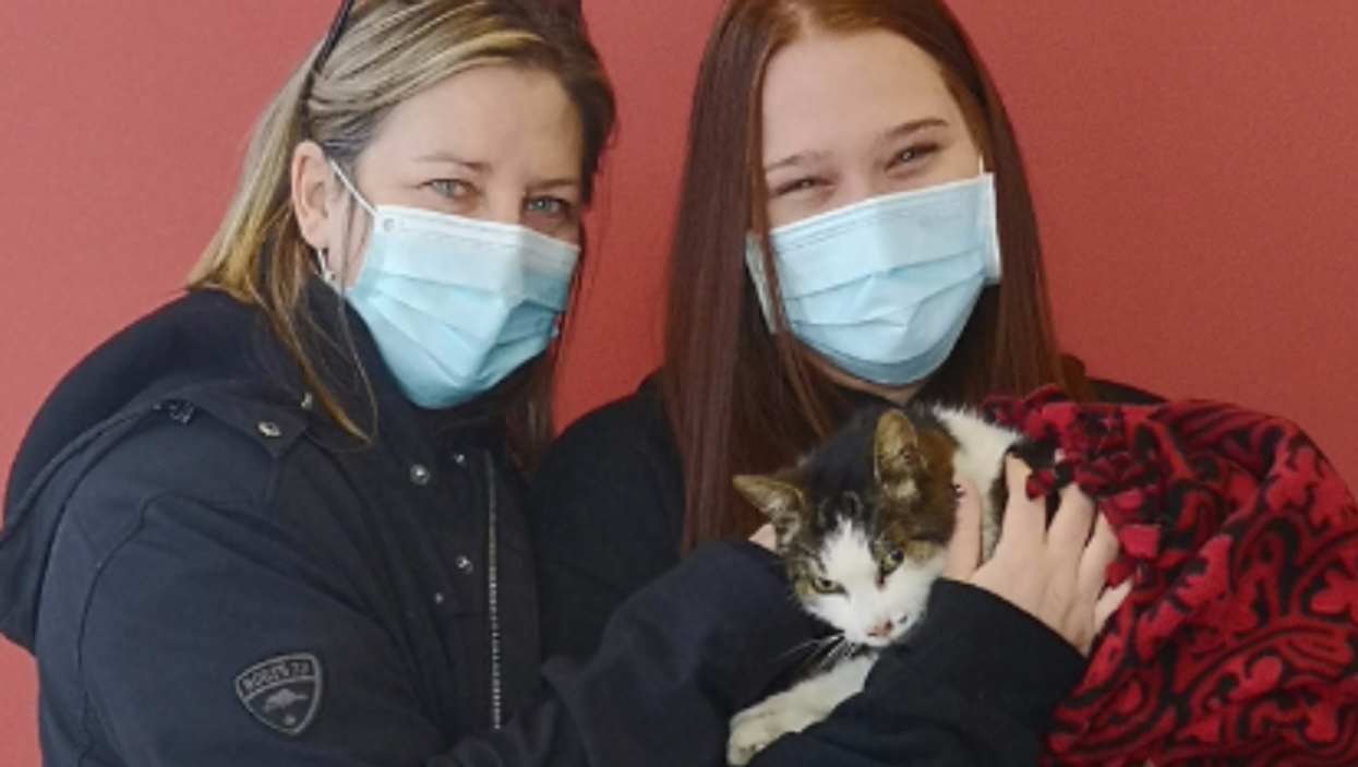 Missing Ontario Cat Was Found 10 Years Later & Reunited With Its Owners