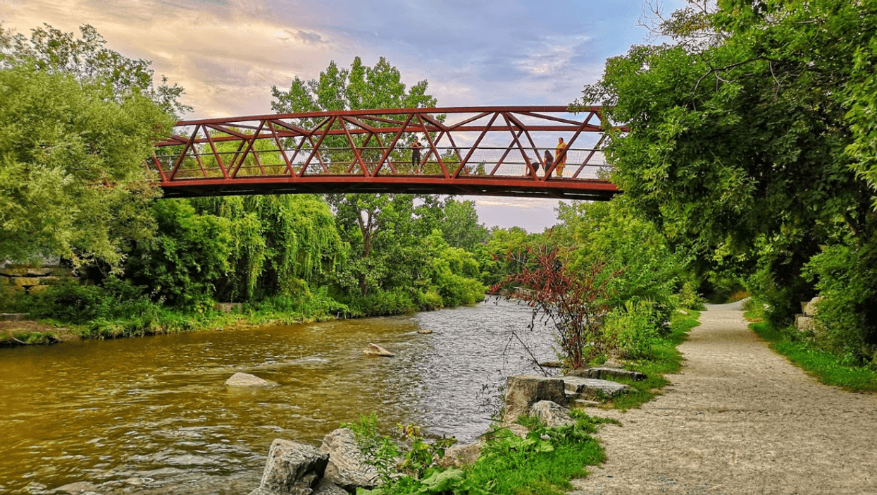 Mississauga's Reopening Off-Leash Parks, Picnic Shelters, And Some Sports Facilities