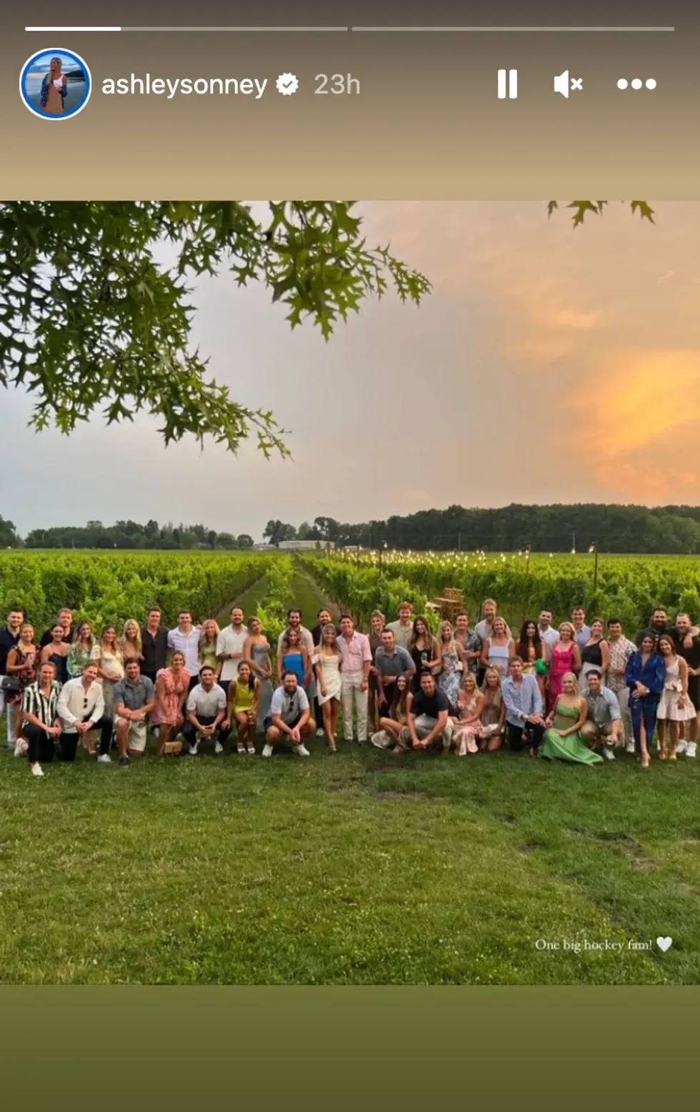 Mitch Marner and Stephanie LaChance with their wedding guests.