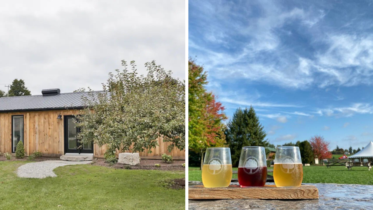 Modern cottage Airbnb on an orchard. Right: Hard cider flights at an Ontario cider house.