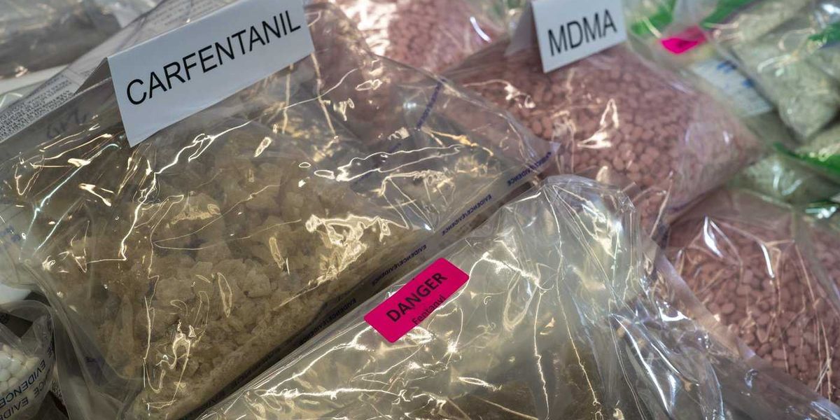Montreal public health warns of rise in overdoses linked to fentanyl and carfentanil Montreal public health warns of rise in overdoses linked to fentanyl and carfentanil