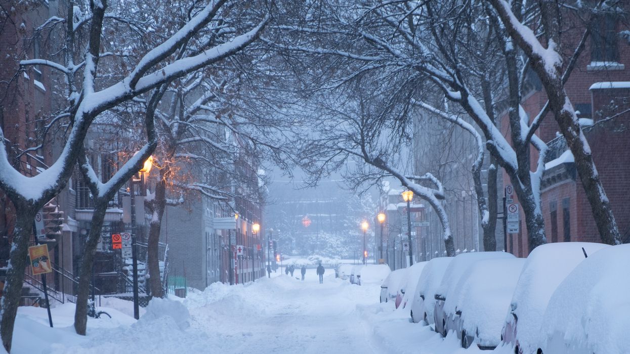 montreal street after a snowstorm with cars buried under snow