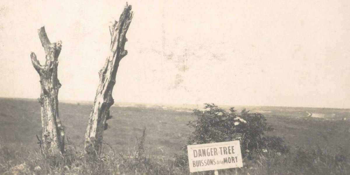 Danger tree installation in France marks ‘futility of loss’ for Newfoundland Regiment Danger tree installation in France marks ‘futility of loss’ for Newfoundland Regiment