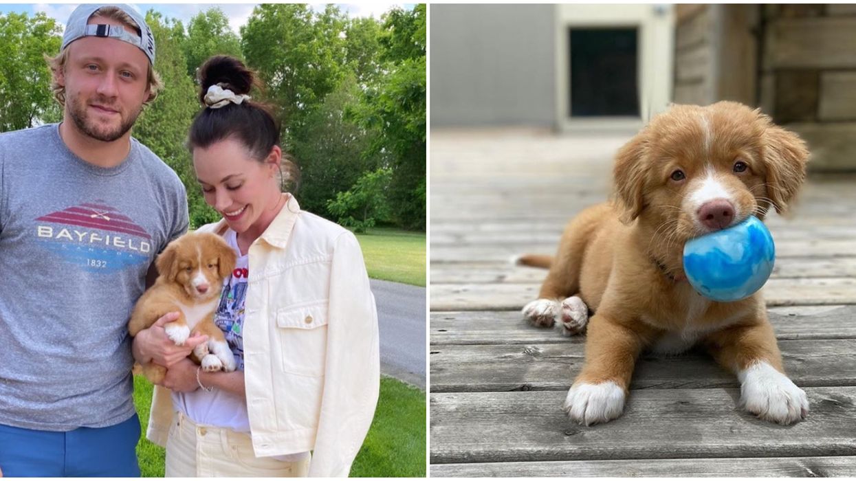 Morgan Rielly And Tessa Virtue Got A Dog Together And She's The Cutest Pup Ever