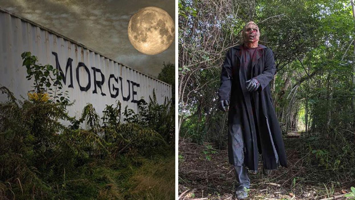 'Morgue' at night. Right: A zombie walking through a forest.