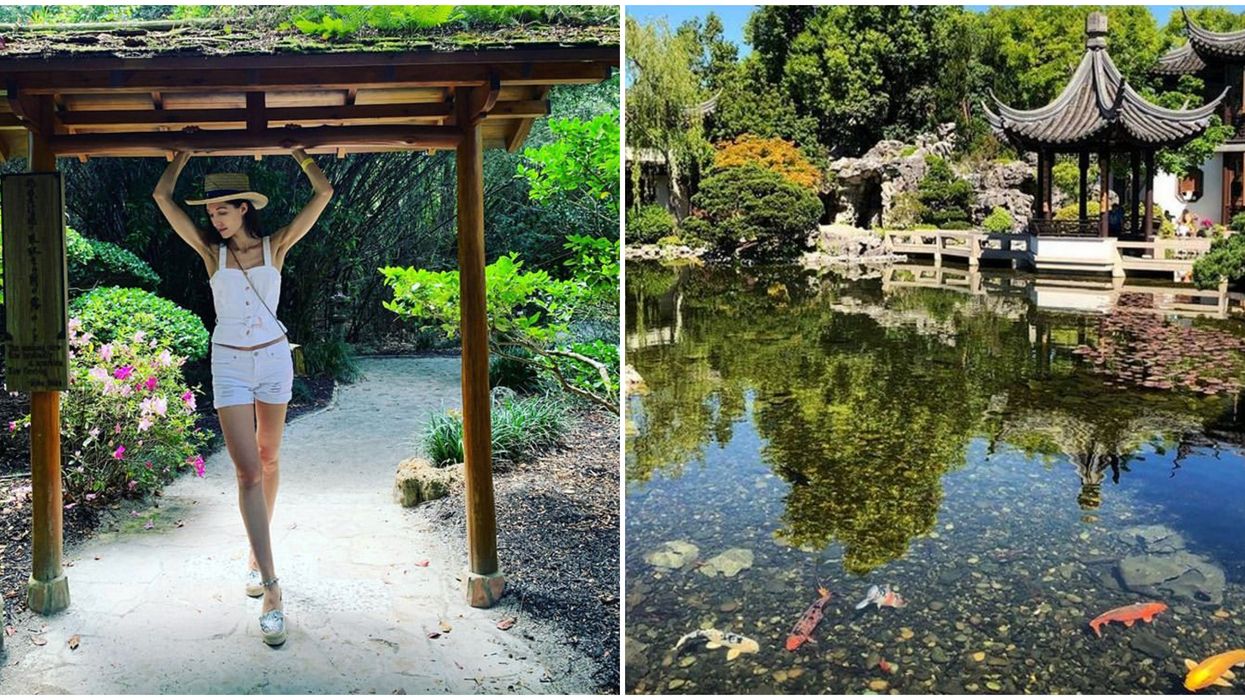 Morikami Museum Japanese Gardens Officially Reopen Next Week
