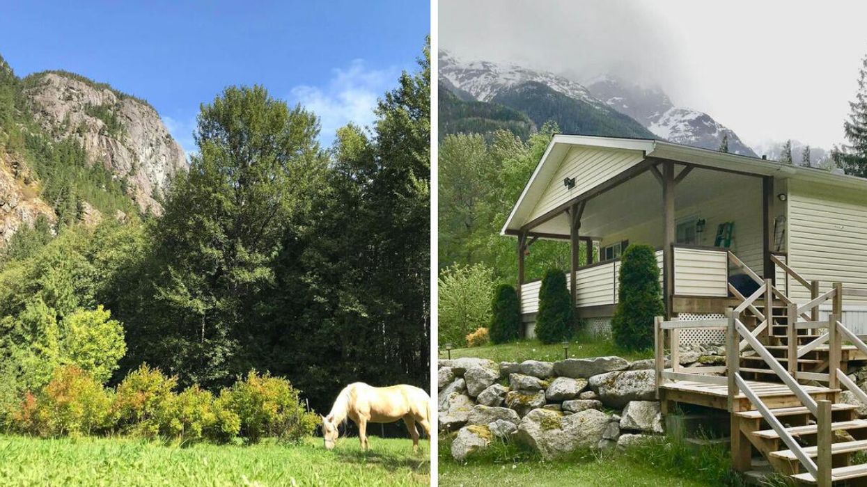 Mountain view and horse on Bella Coola property. Right: wood-panelled house for sale in B.C.