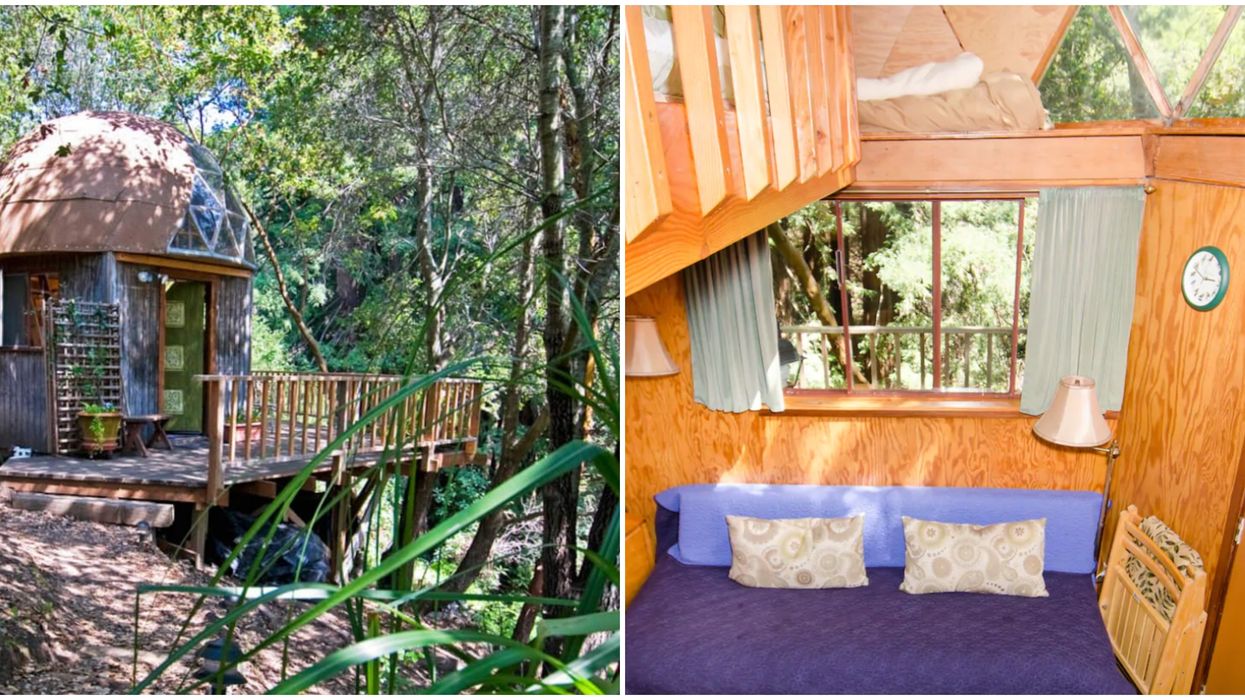 Mushroom Dome Retreat In California Is The Perfect Place To Unwind