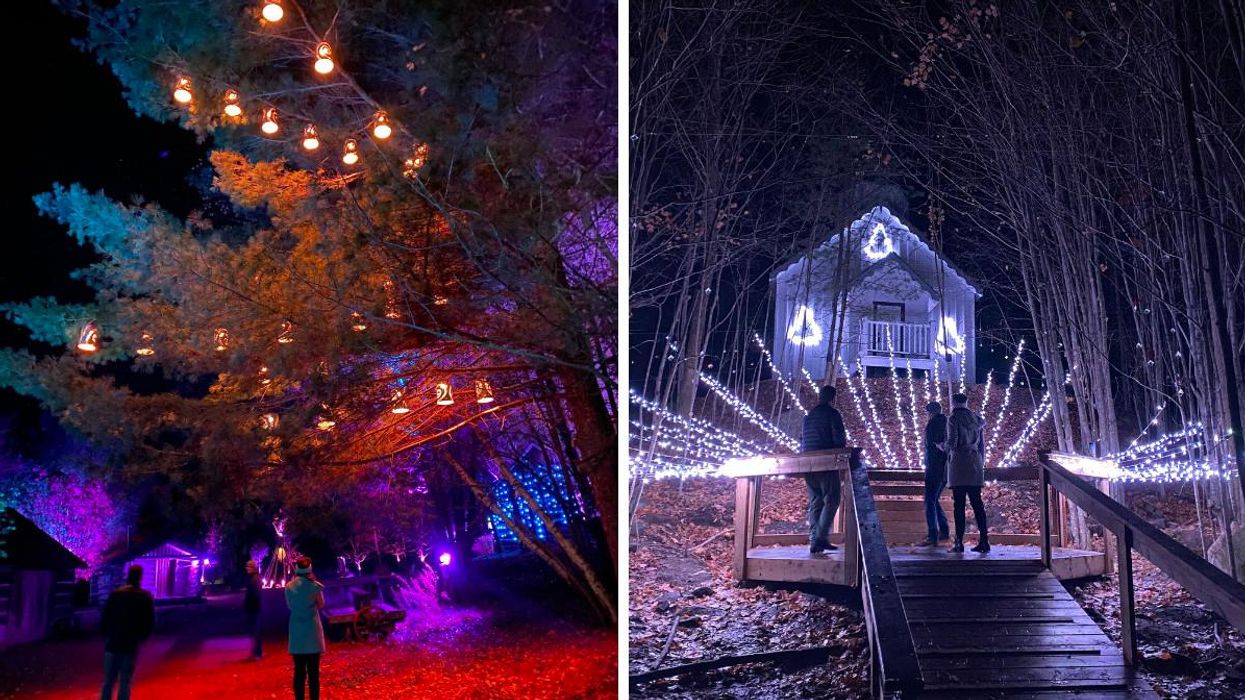 Muskoka’s New Enchanting Night Walk Will Let You Play With Thousands Of Interactive Lights