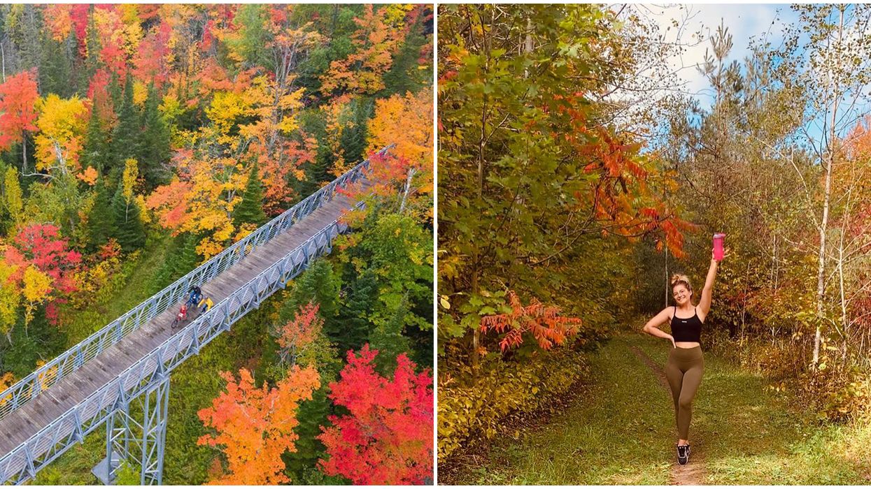 Must-See Hike In Ontario Will Let You Walk Above All The Best Fall Views
