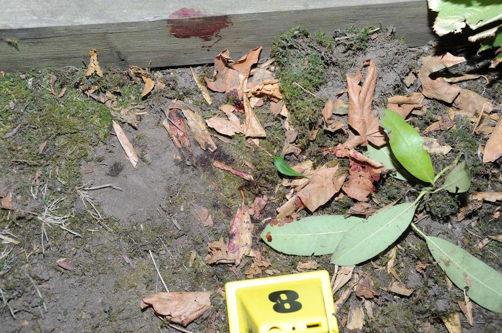 Myles Gray exhibits tell story of his death