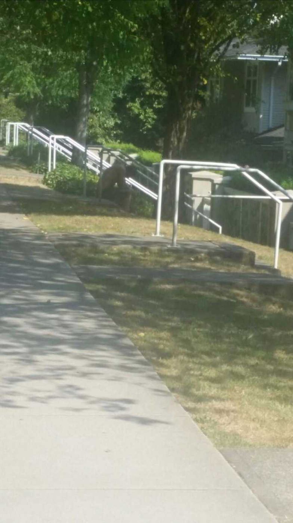 Myles Gray exhibits tell story of his death