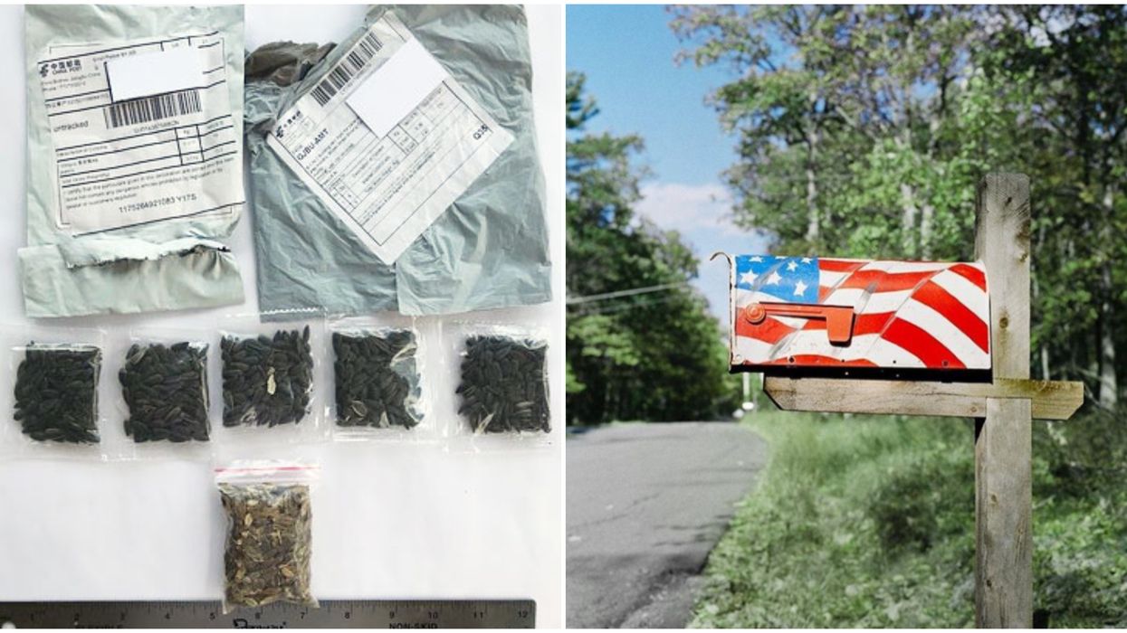 Mysterious Package Of Seeds From China Are Being Sent To Floridians