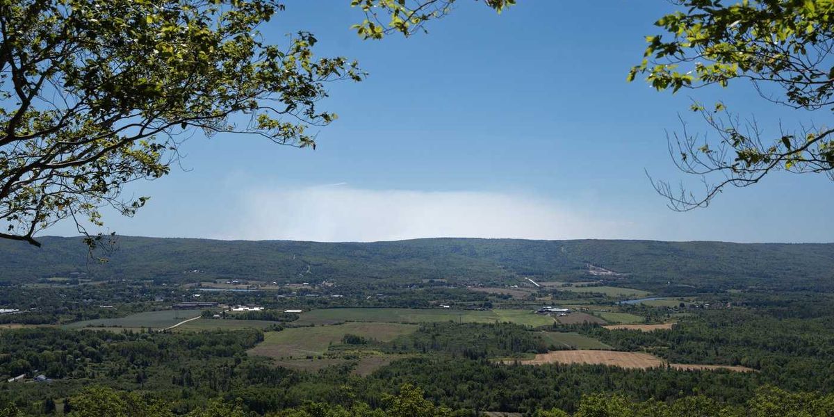 N.S. ban on entering woods was unreasonable: court N.S. ban on entering woods was unreasonable: court