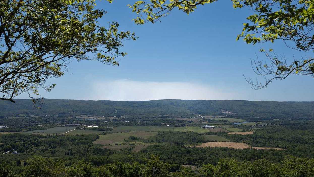 N.S. ban on entering woods was unreasonable: court