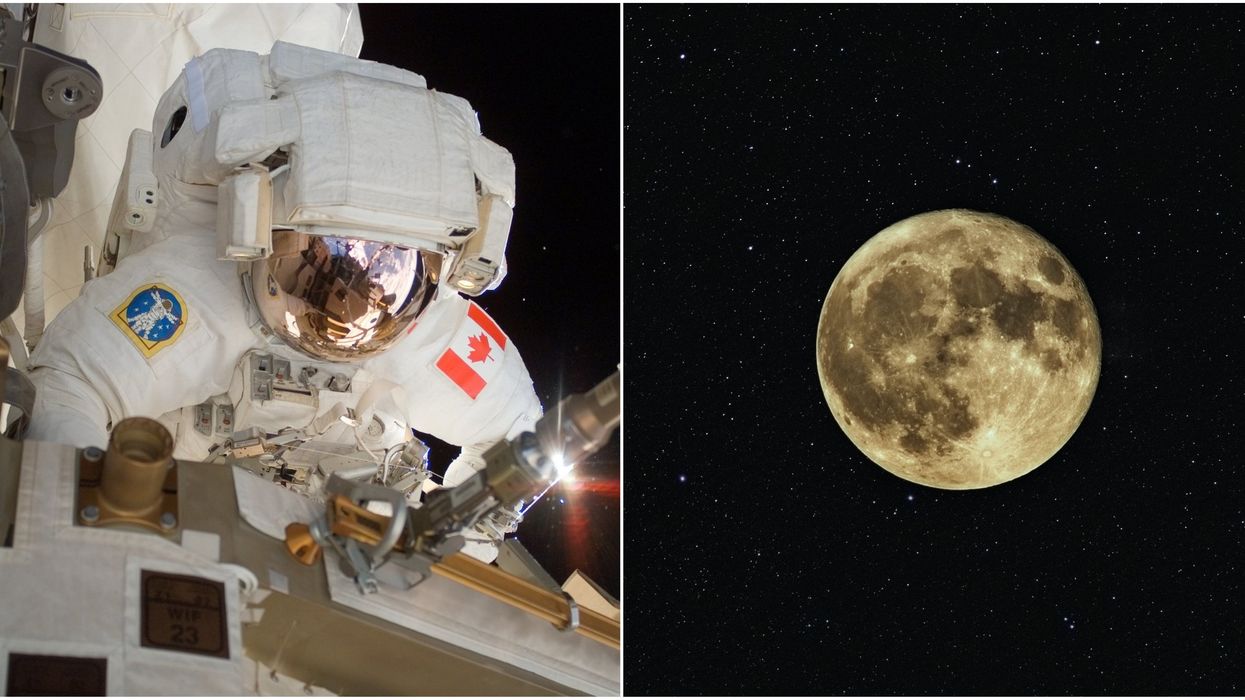 NASA Moon Mission Will See A Canadian Astronaut Orbit The Moon In 2023
