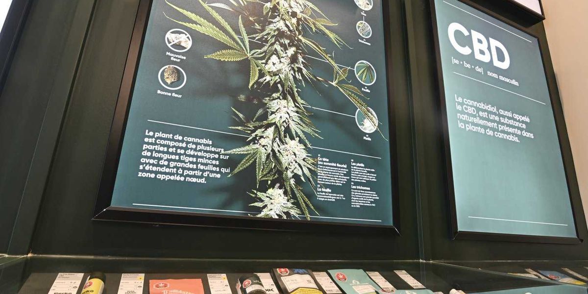 National cannabis organization suspends operations, citing active illegal market National cannabis organization suspends operations, citing active illegal market