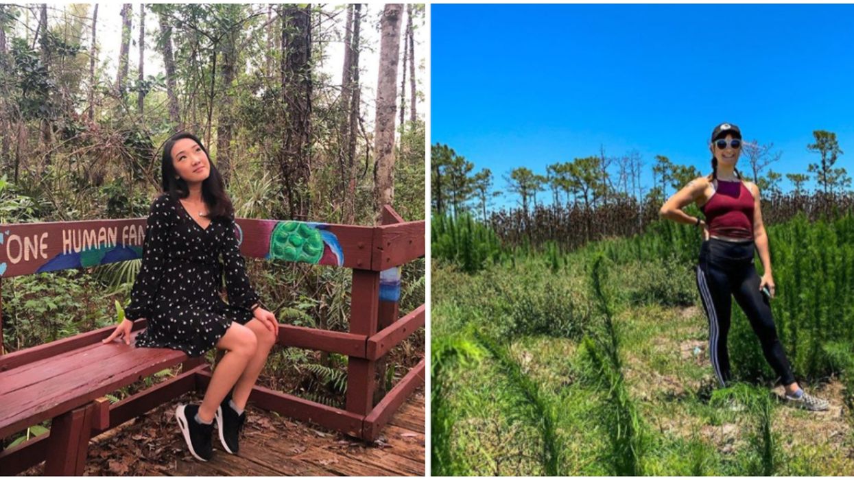 Nature Escapes In Orlando That Feel As Though You're Not Even In The City