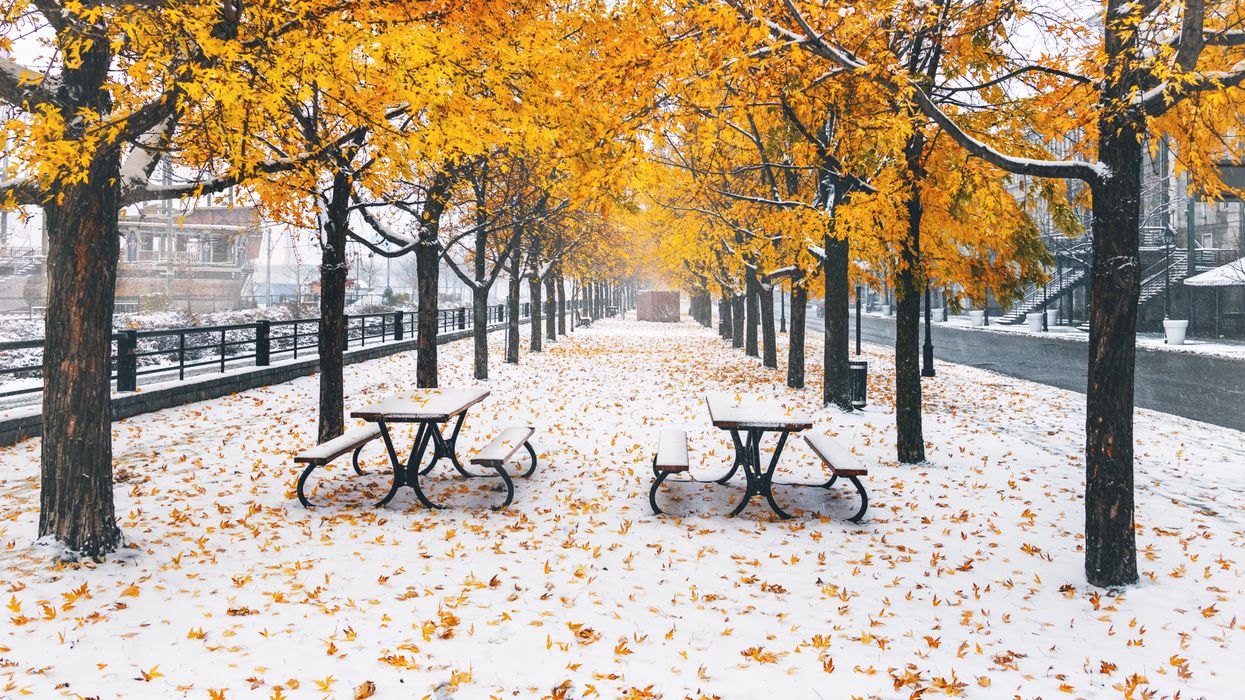 Neige au Québec : Plusieurs régions pourraient recevoir des flocons d'ici samedi.