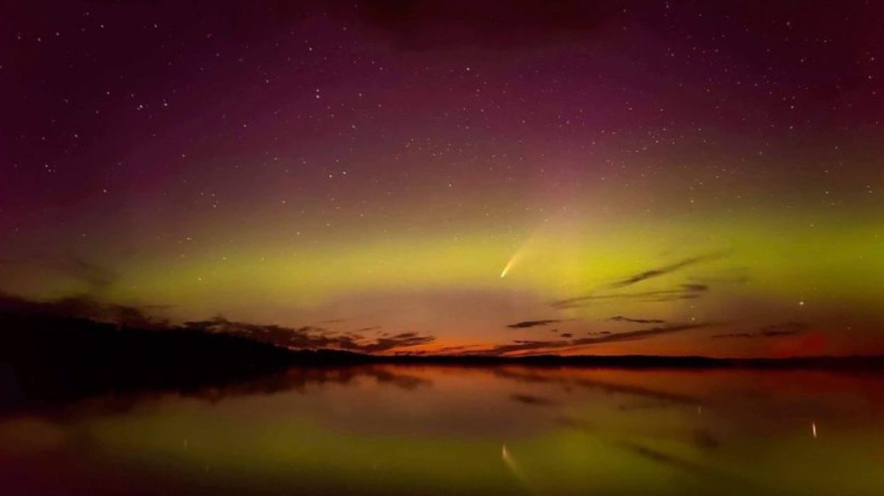 Neowise Comet Photos That Will Make You Desperate To See It For Yourself