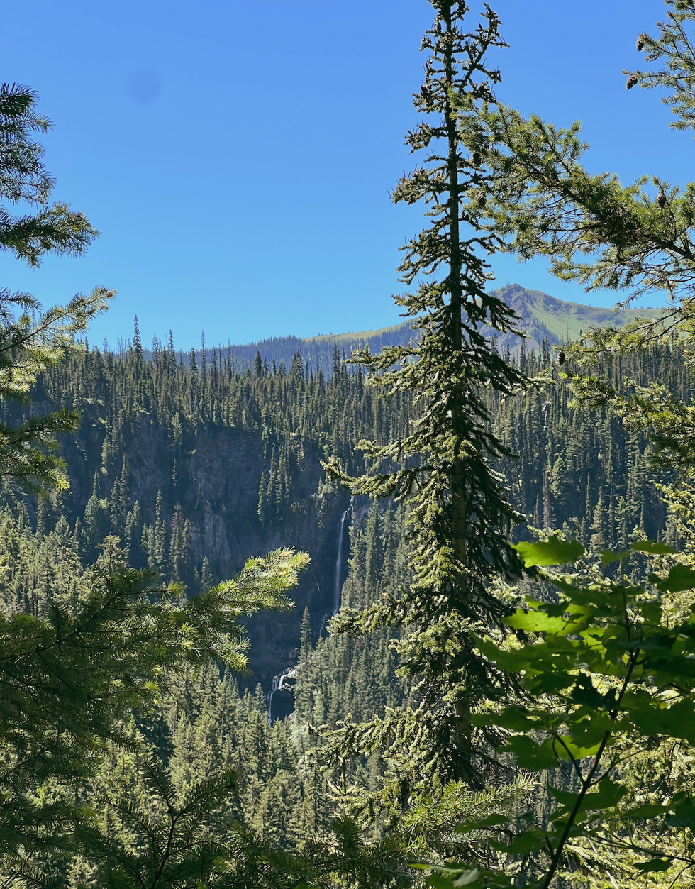 Nepopekum Falls in Manning Park, B.C.