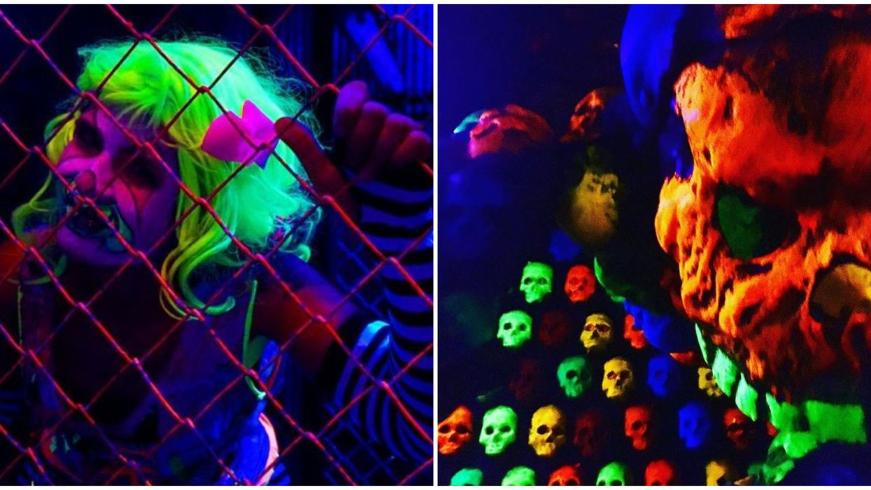 New Haunted House Attraction Tampa Scream-A-Geddon Teaser Is Seriously Spooky