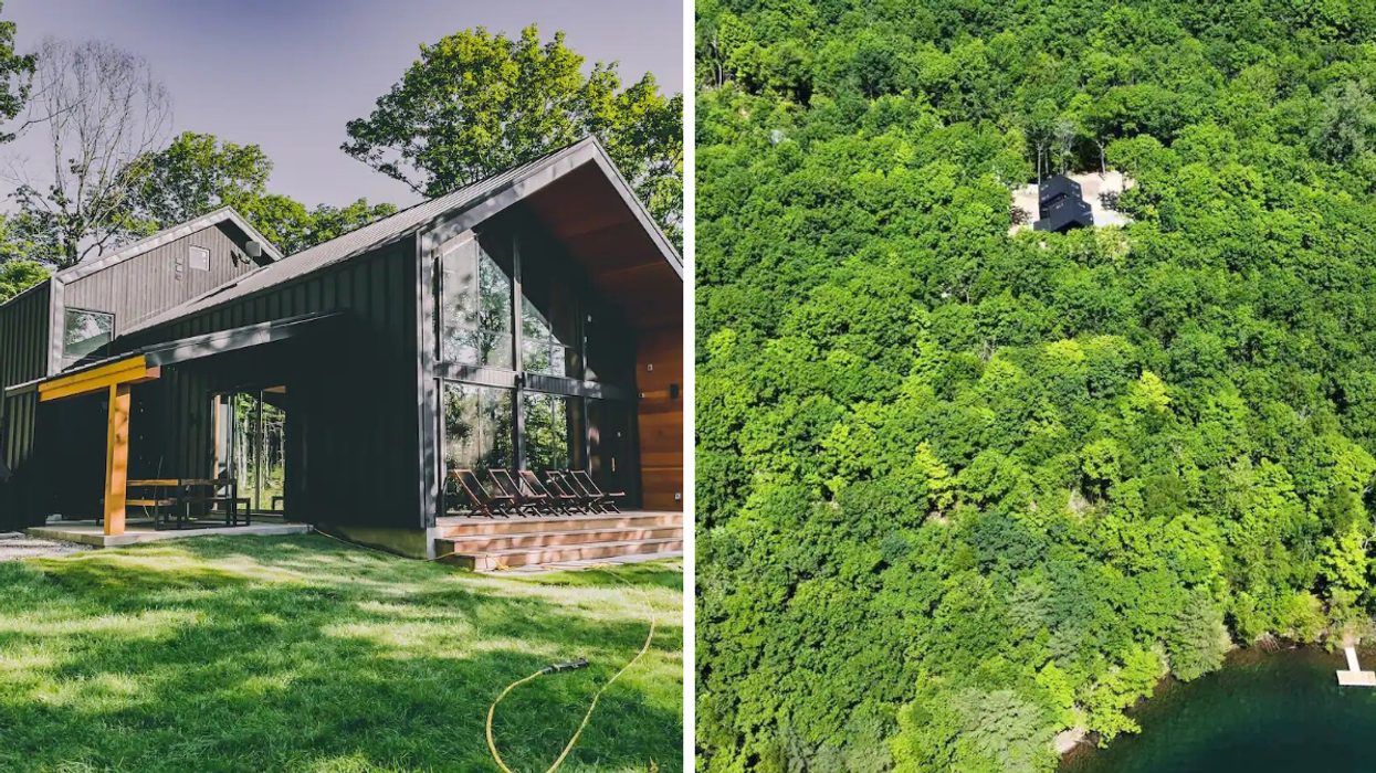New modern cottage with large windows and black walls. Right: Airbnb lodge surrounded by private forest.