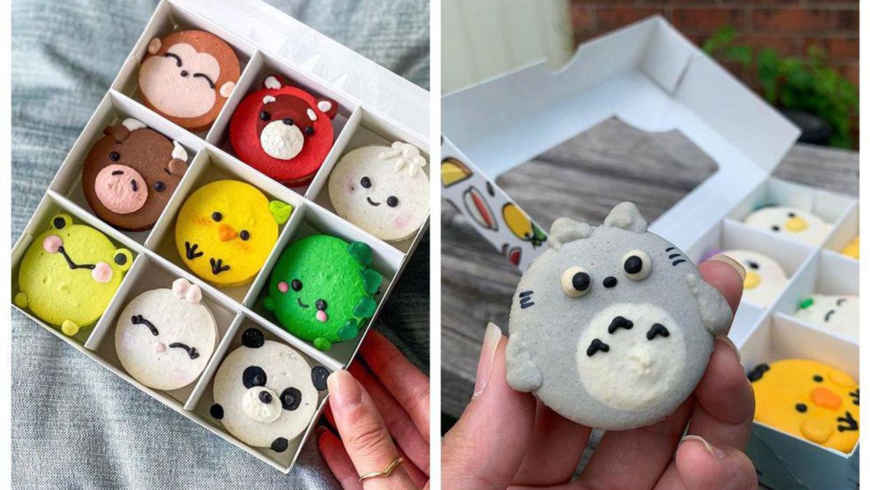 New Ottawa Cafe Sells Desserts From Winner Of MasterChef Canada