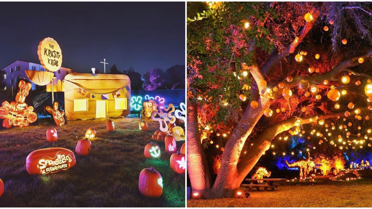 Nights Of The Jack Calabasas One Mile Driving Trail Will Be Filled With Tons Of Pumpkins