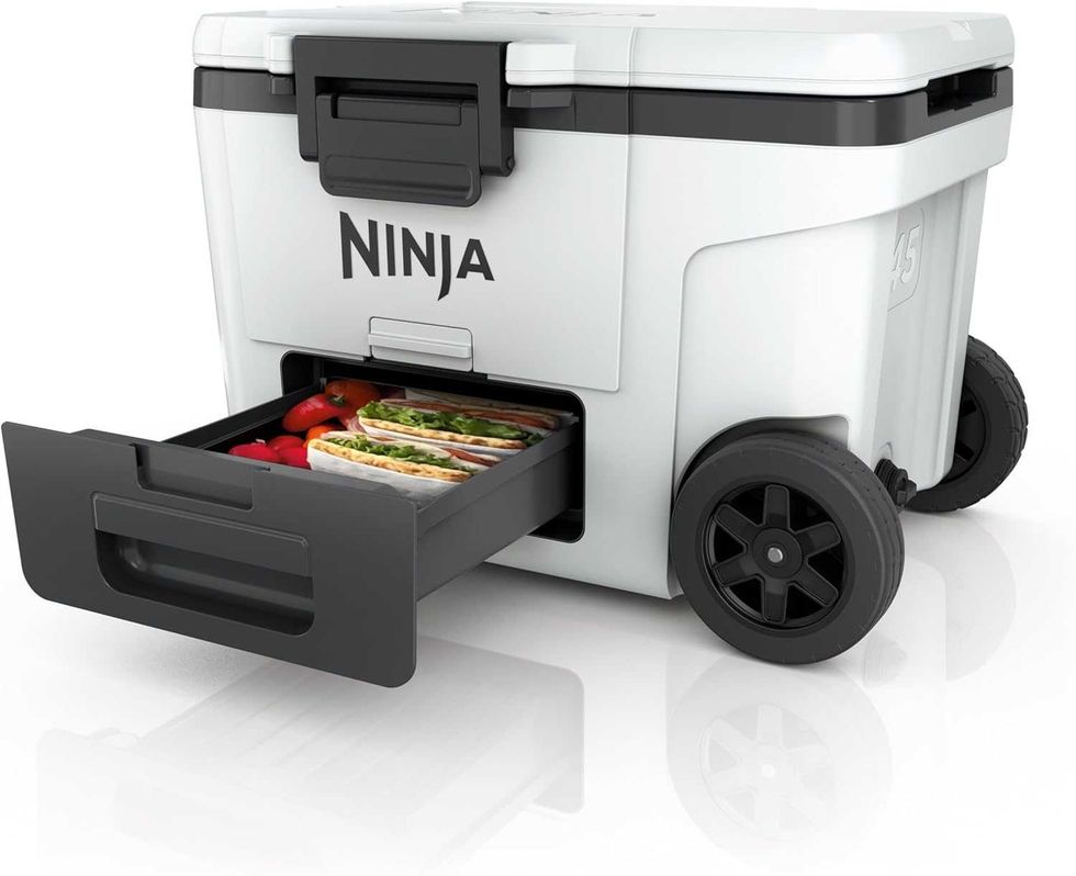 Ninja FrostVault